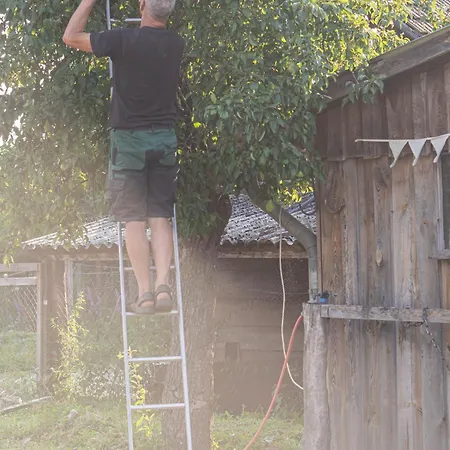 Bahlens-schur Friedland (Brandenburg)