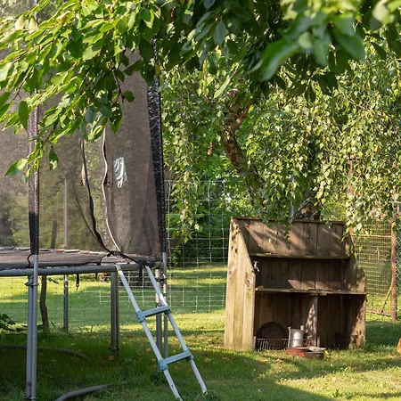 Bahlens-schur * Friedland (Brandenburg)