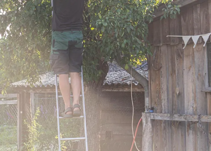 Bahlens-schur Friedland (Brandenburg)