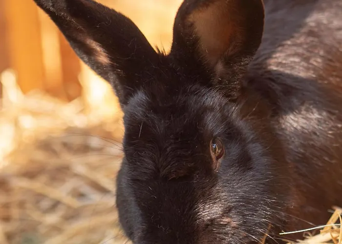 Casa rural Bahlens-schur *
